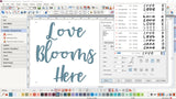 Embroidery Software V9 DesignerPlus Update