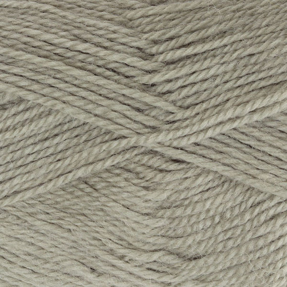 821 Ashford DK Yarn Lichen