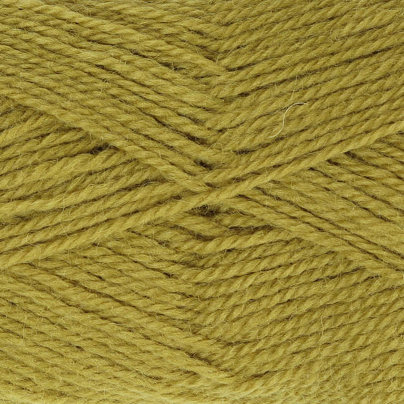 822 Ashford DK Yarn Beansprout